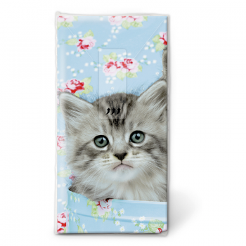 Katze Taschentücher